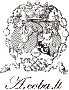 BRAND CONCEPT | A.D.M.J.公式オンラインストア